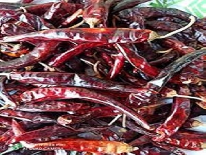 Dried Red Chilli (Neetu Milagai) - Townway product image 1