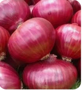 Big onion 1kg - Townway product image 1