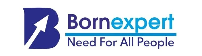 Born Expert India Service