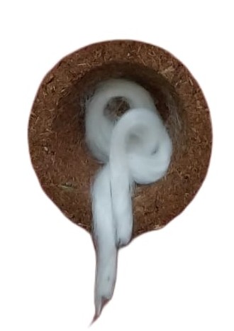 MAYIIL PANJAKAVYA VILAKKU SINGLE PIECE