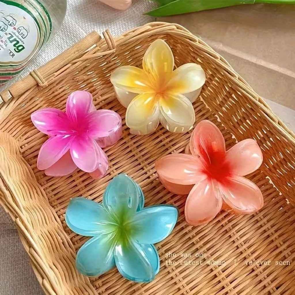 Trending hair clips each Rs. 27