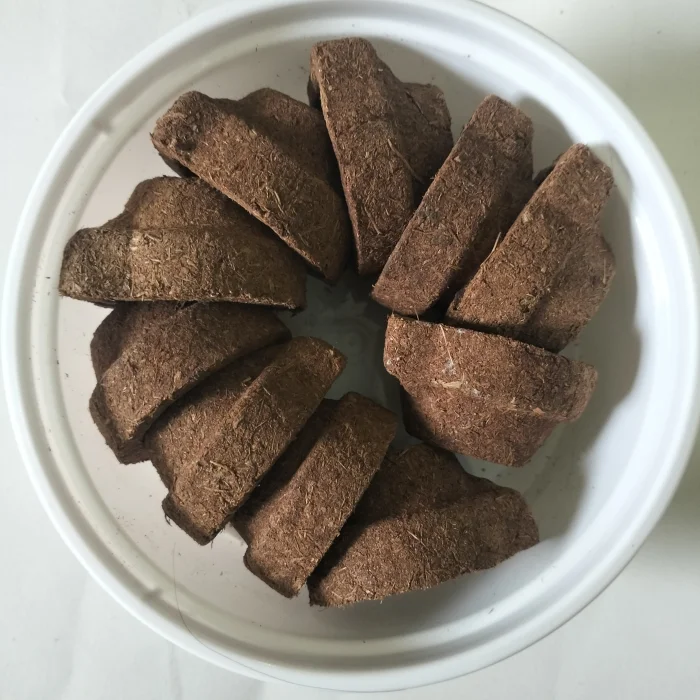 Cow dung panjakaviya vilakku 10 pieces