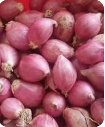 Small onion 1kg