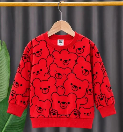 Boys Sweatshirt