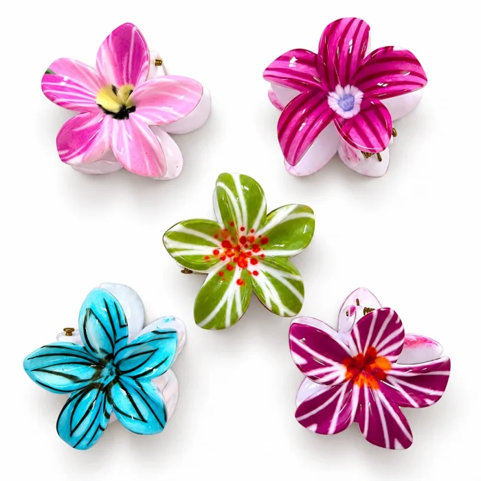 Fancy Hair Clip 5 pieces