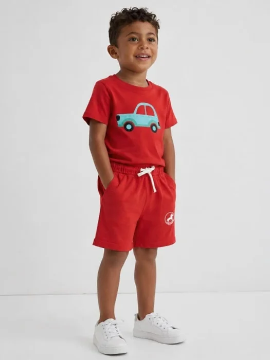 Boys Tshirt with Bottom Set
