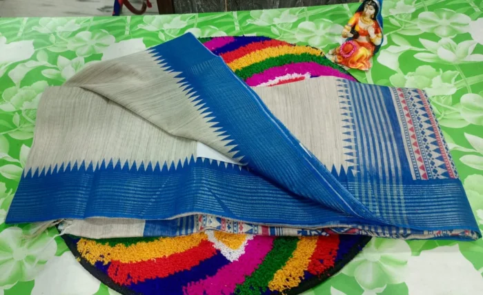 Silk Tussar Tissue Saree with Blouse