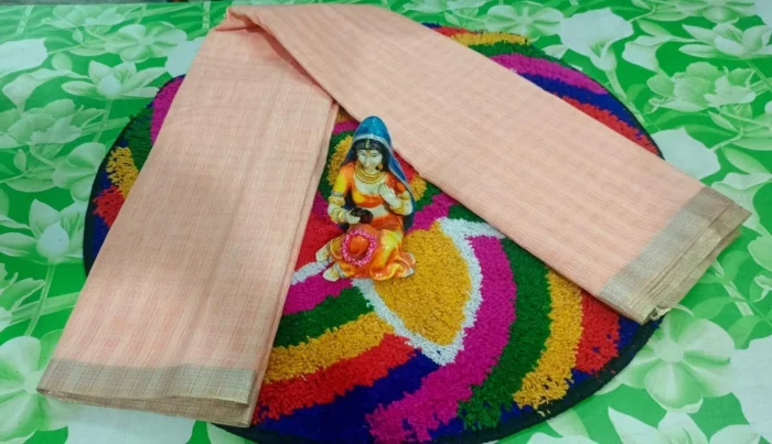 Silk Tussar Tissue Saree with Blouse